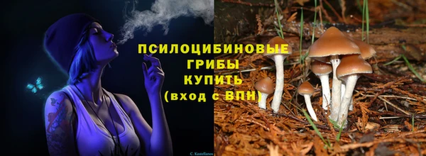 PSILOCYBIN Богородск